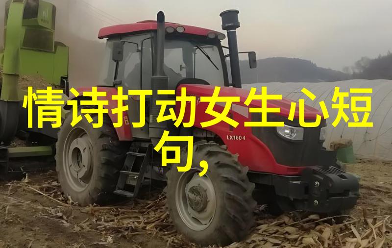 追求摩羯女的必杀技怎么追求摩羯女