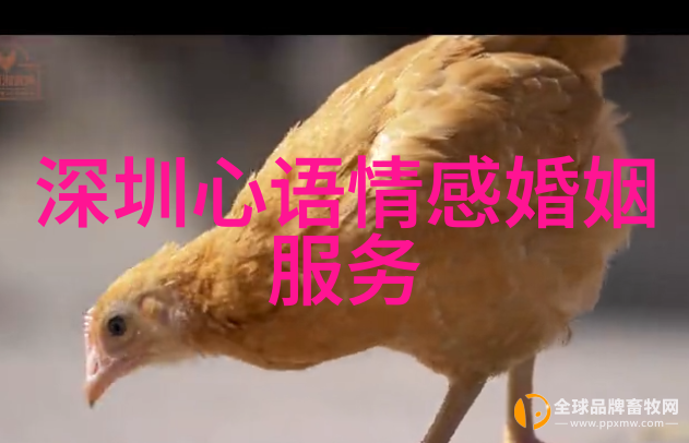 老婆开始反感老公了说明什么 发生婚姻危机怎么补救