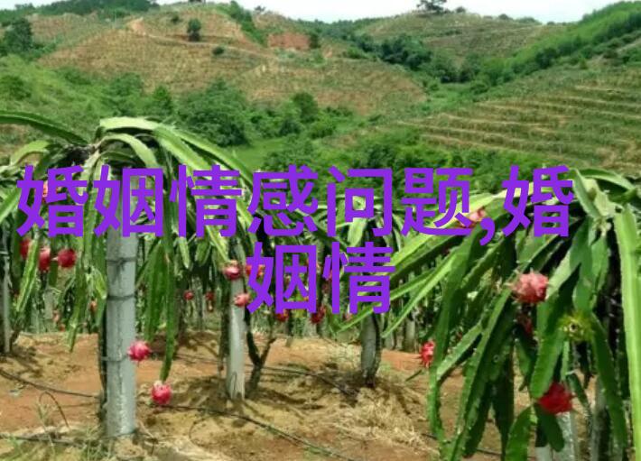 被老公嫌弃后该怎么做 聪明女人这样做