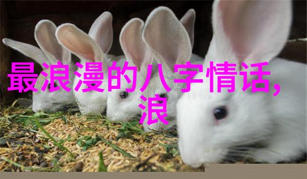 真情实感520对女朋友说的情话对女朋友说的深情话
